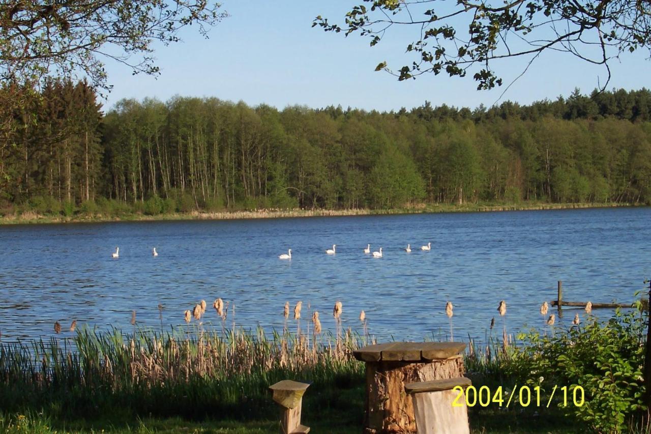 Agroturystyka Nad Jeziorem Sopien Brzozie Exterior photo